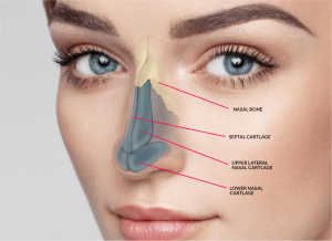 nose cosmetic surgery_Rinoplasty