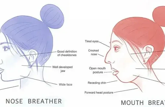 mouth ‌& nose breather