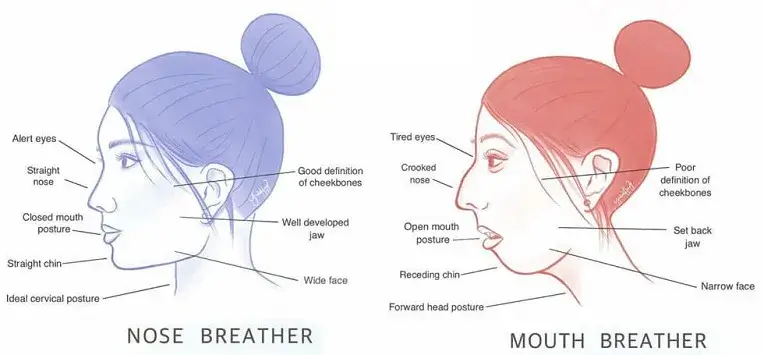 mouth ‌& nose breather