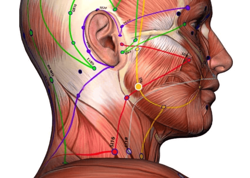 کاربرد طب سوزنی در دندانپزشکی