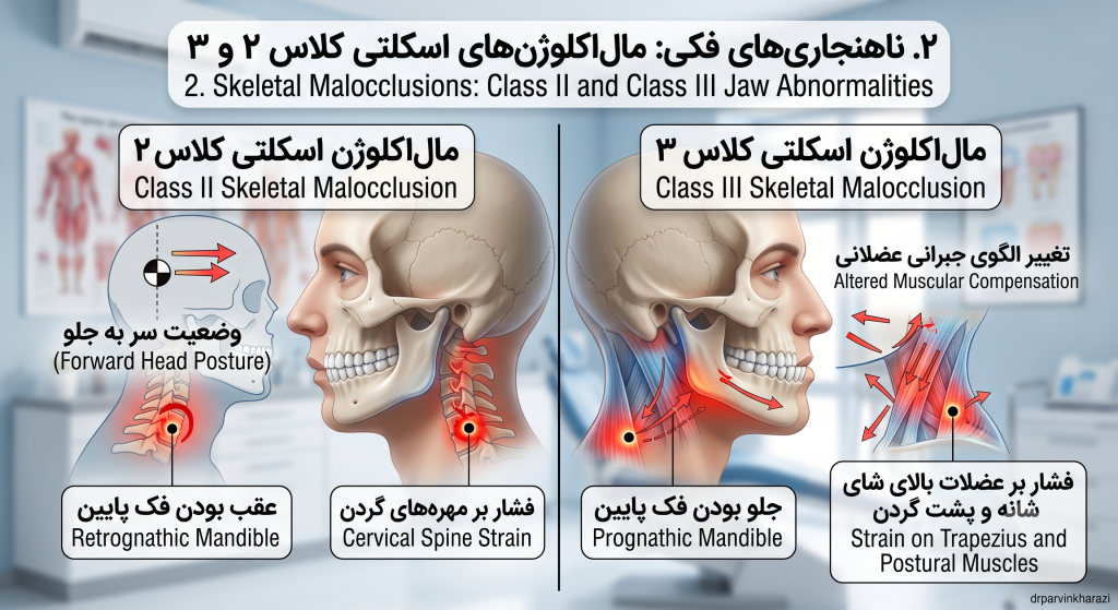 تأثیر ناهنجاریهای فکی کلاس ۲ و ۳ بر وضعیت سر و ایجاد درد گردن و شانه در بیماران ارتودنسی